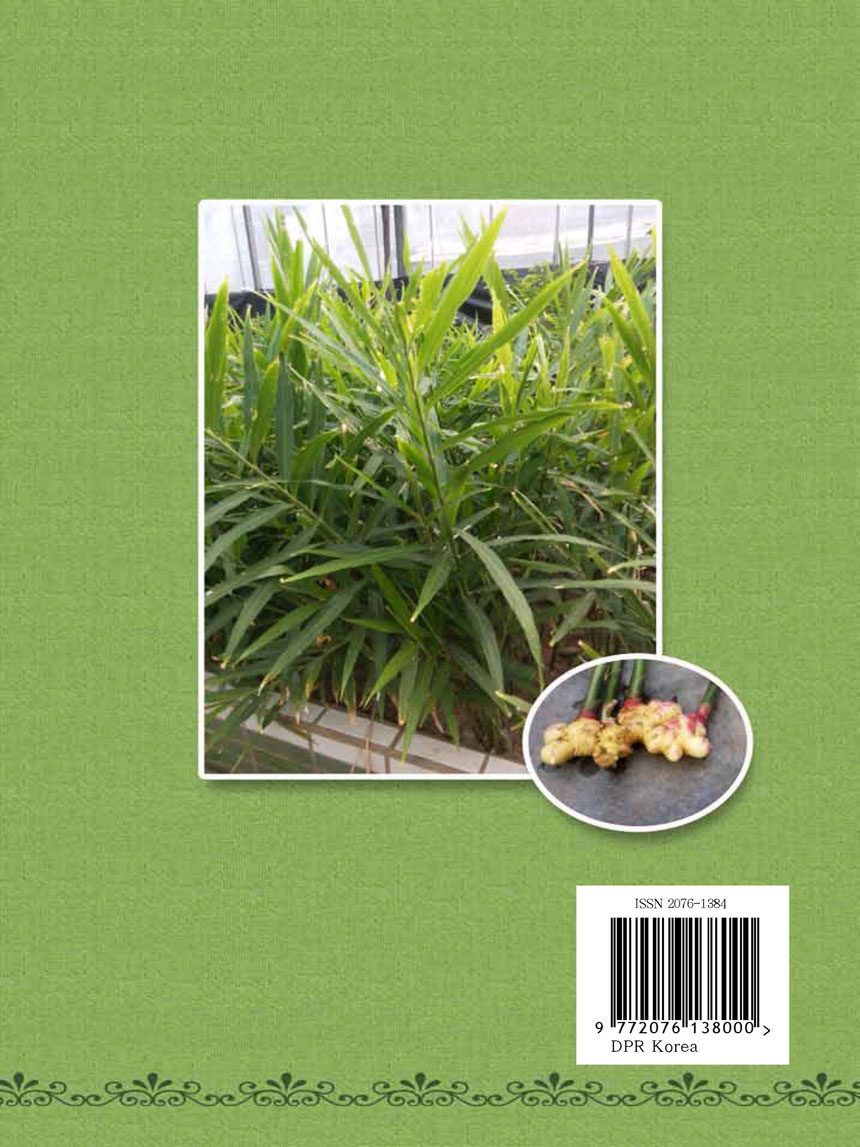 잡지《조선료리》(2025.3호)