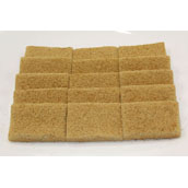 organization_activity_news