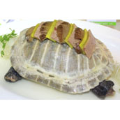 organization_activity_news