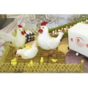 organization_activity_news
