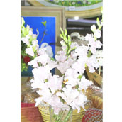 organization_activity_news
