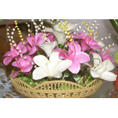 organization_activity_news